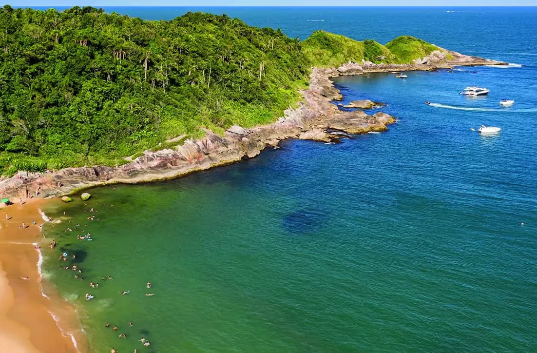 Praia do Estaleiro, em Balneário Camboriú, com mar verde e mata